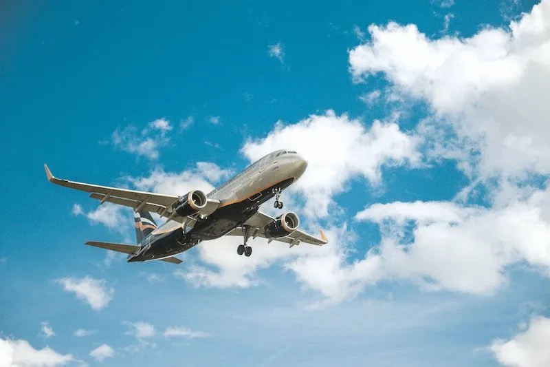 Flight Consulting Icon